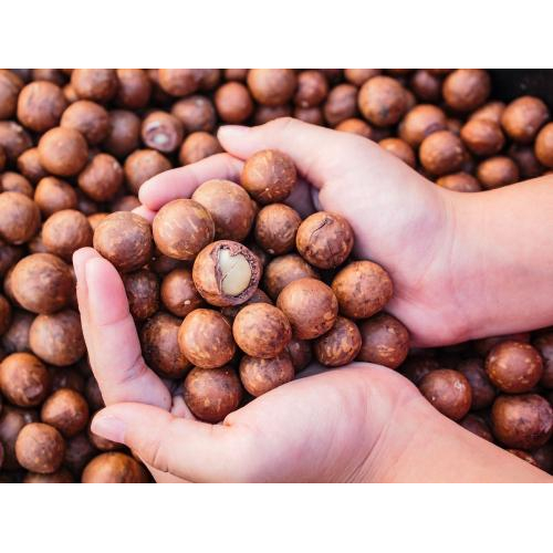 Hỗ trợ sức khỏe sinh lý